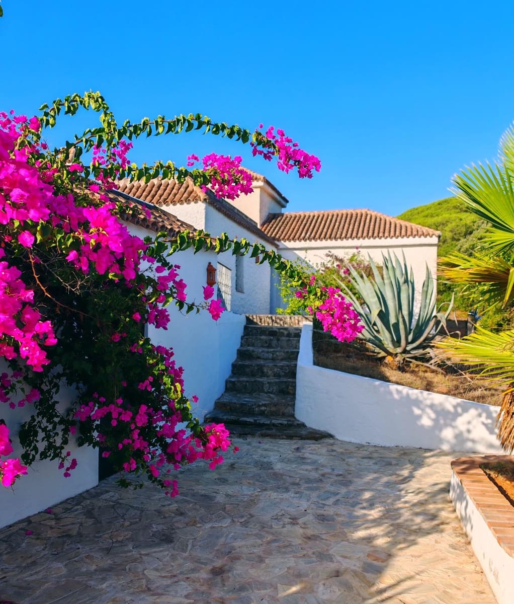 7 soveværelse Villa til salg i Barbate med swimmingpool garage - € 680.000 (Ref: 9301206)