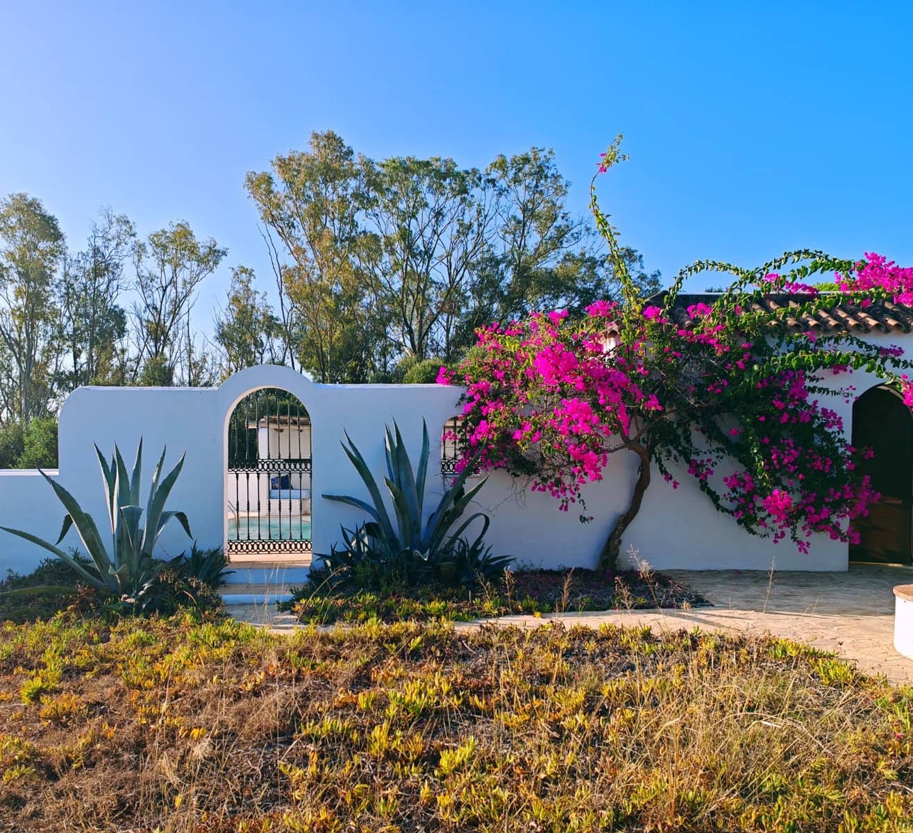 7 soveværelse Villa til salg i Barbate med swimmingpool garage - € 680.000 (Ref: 9301206)