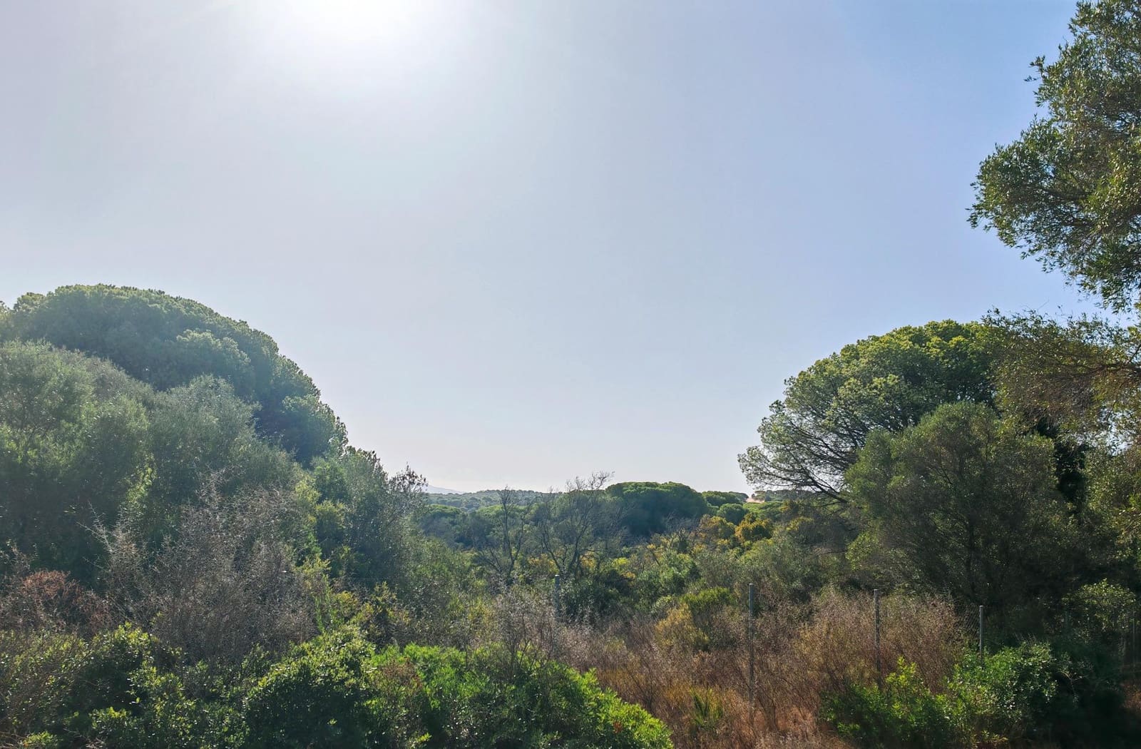 7 soveværelse Villa til salg i Barbate med swimmingpool garage - € 680.000 (Ref: 9301206)