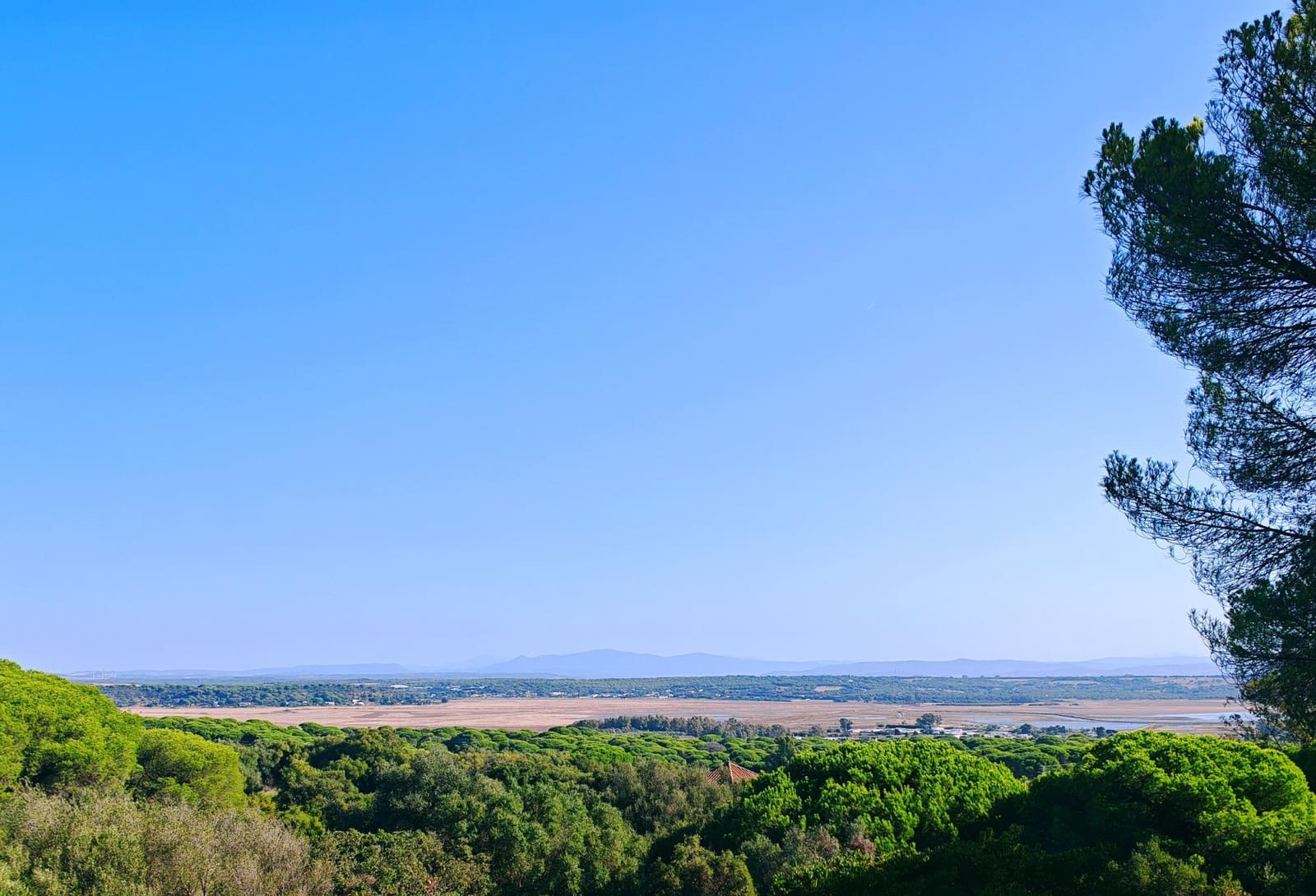 7 soveværelse Villa til salg i Barbate med swimmingpool garage - € 680.000 (Ref: 9301206)