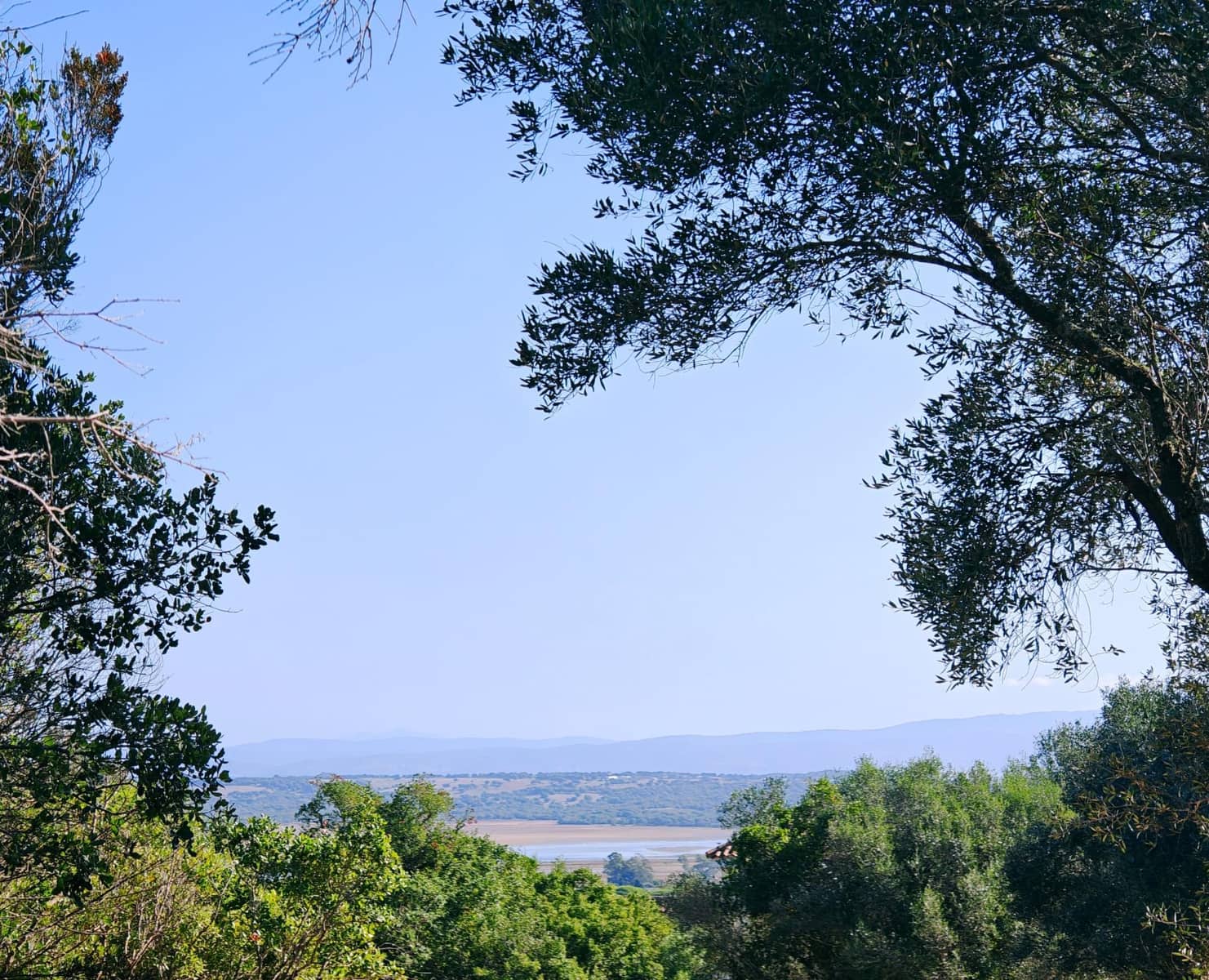 7 soveværelse Villa til salg i Barbate med swimmingpool garage - € 680.000 (Ref: 9301206)