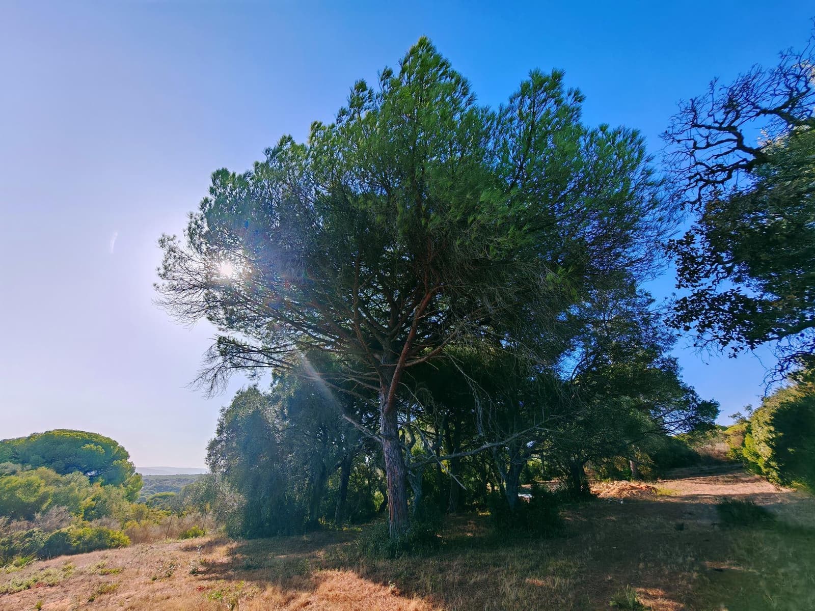 7 soveværelse Villa til salg i Barbate med swimmingpool garage - € 680.000 (Ref: 9301206)