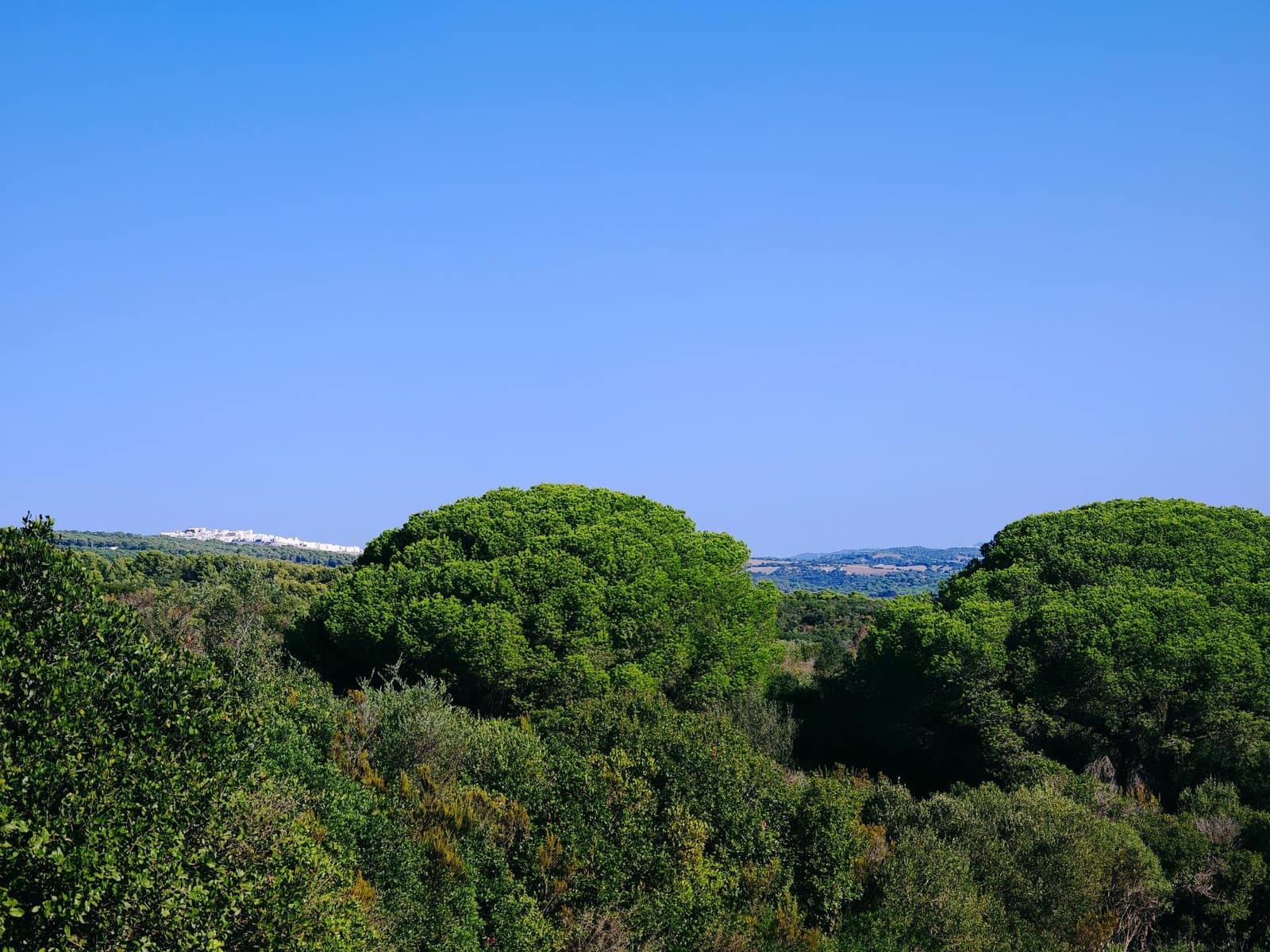 7 soveværelse Villa til salg i Barbate med swimmingpool garage - € 680.000 (Ref: 9301206)