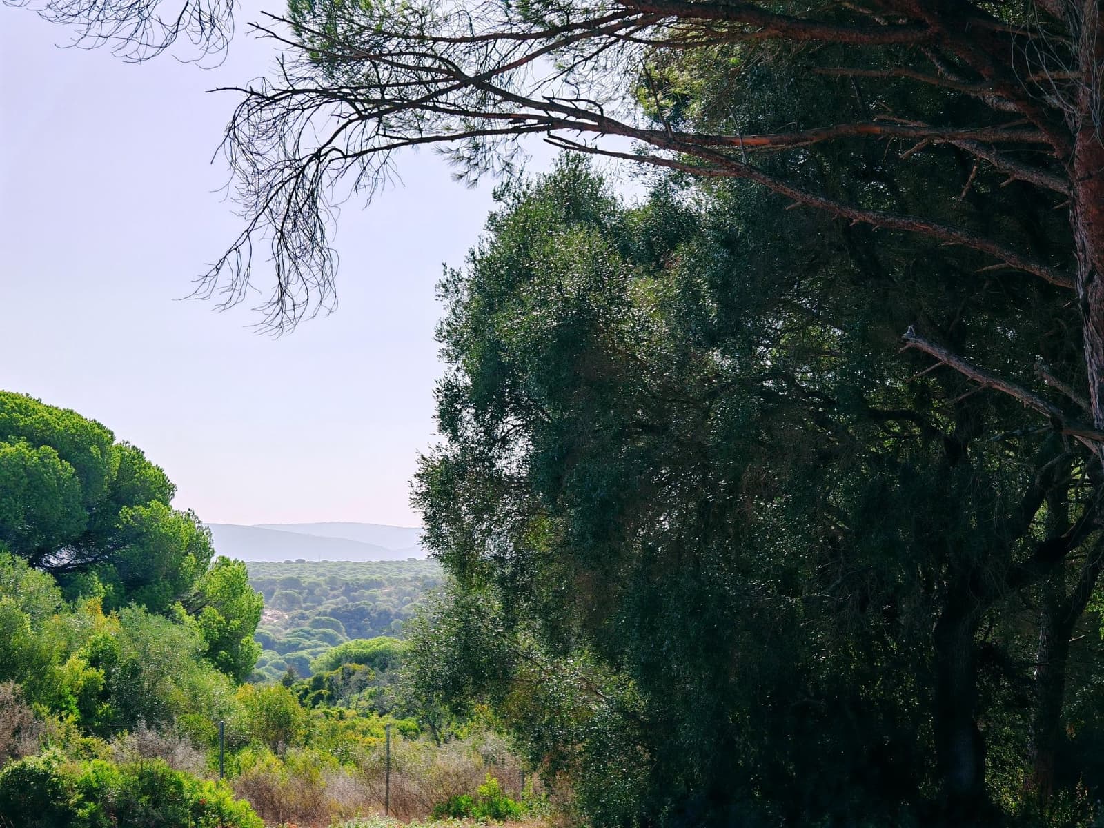 7 soveværelse Villa til salg i Barbate med swimmingpool garage - € 680.000 (Ref: 9301206)