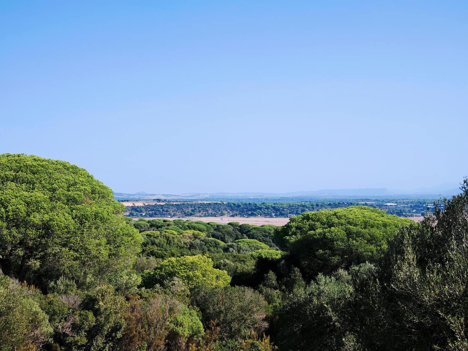 7 soveværelse Villa til salg i Barbate med swimmingpool garage - € 680.000 (Ref: 9301206)