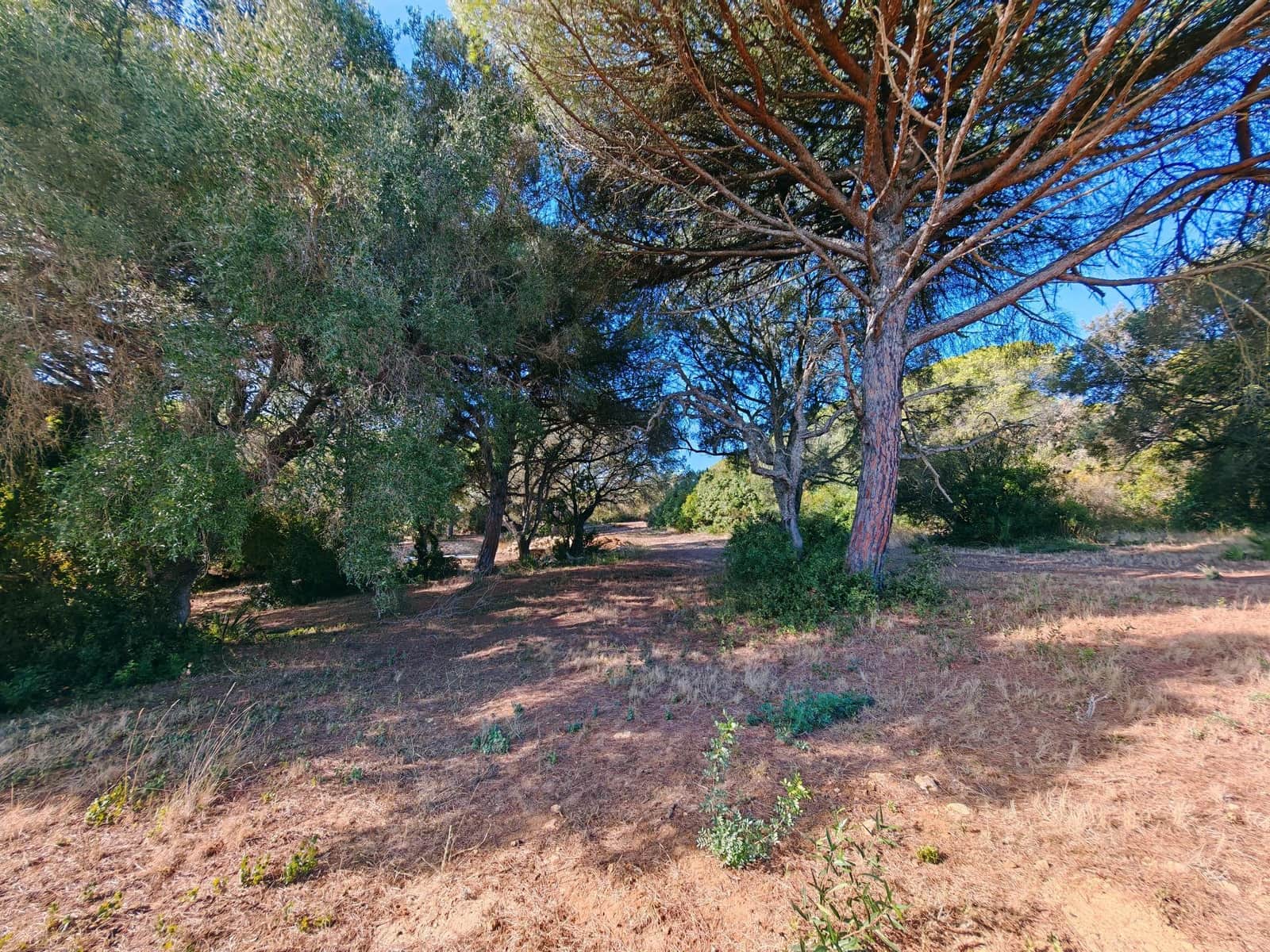 7 soveværelse Villa til salg i Barbate med swimmingpool garage - € 680.000 (Ref: 9301206)