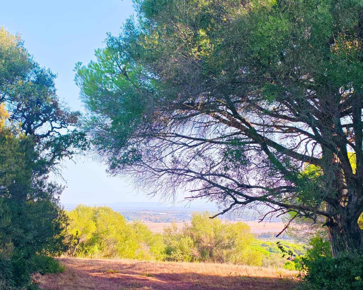 7 soveværelse Villa til salg i Barbate med swimmingpool garage - € 680.000 (Ref: 9301206)