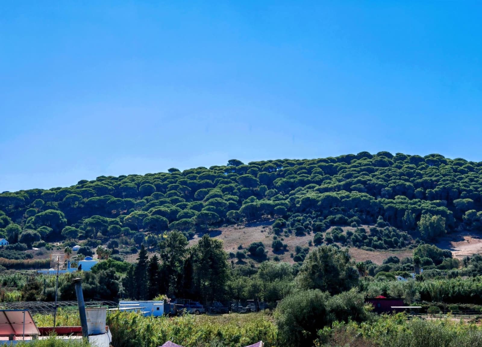 3 bedroom Finca/Country House for sale in San Ambrosio with garage - € 245,000 (Ref: 9391096)