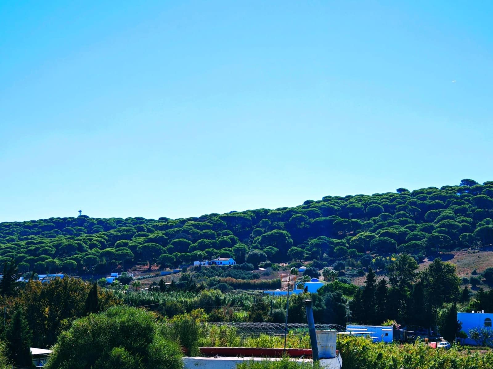 3 bedroom Finca/Country House for sale in San Ambrosio with garage - € 245,000 (Ref: 9391096)