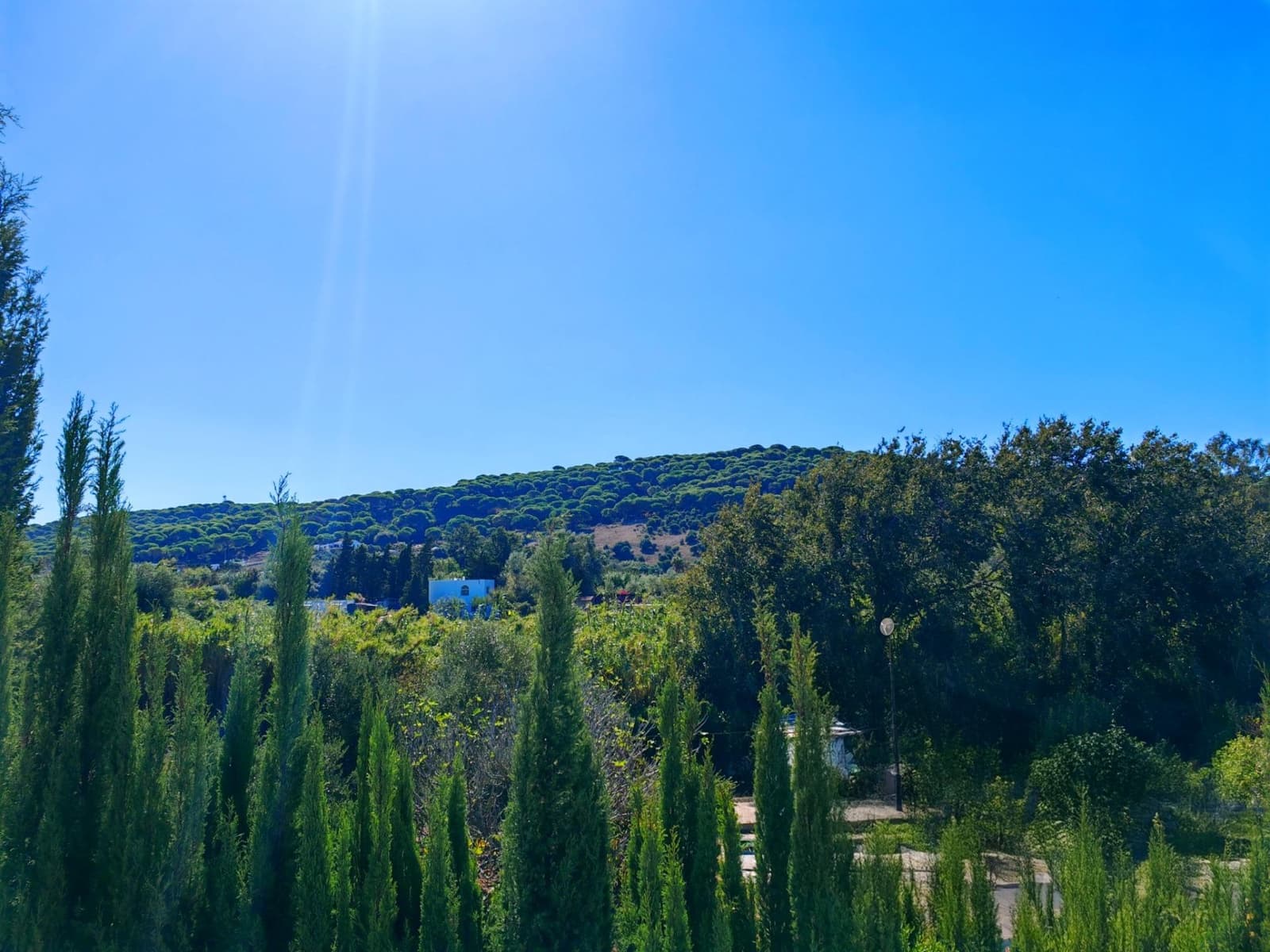 3 bedroom Finca/Country House for sale in San Ambrosio with garage - € 245,000 (Ref: 9391096)