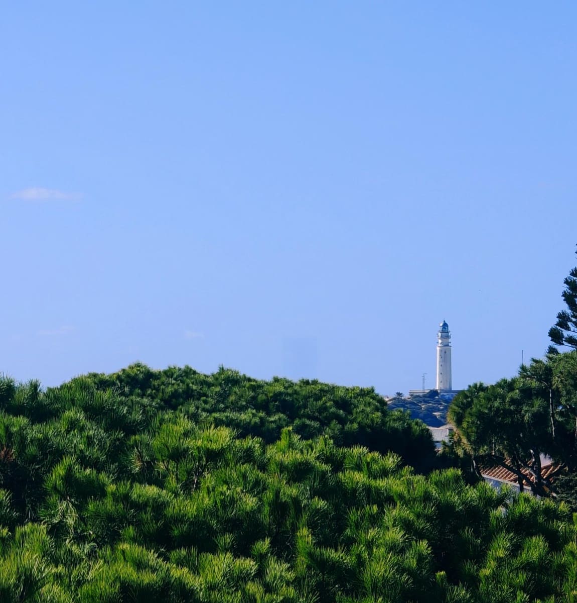 4 soverom Finca/Herregård til salgs i Los Canos de Meca - € 450 000 (Ref: 9446700)