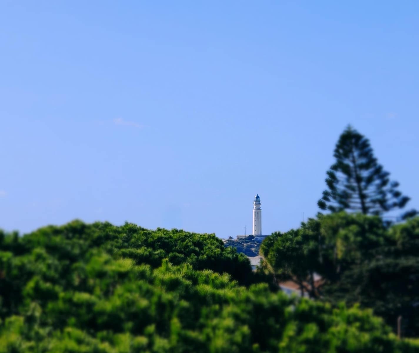 4 soverom Finca/Herregård til salgs i Los Canos de Meca - € 450 000 (Ref: 9446700)