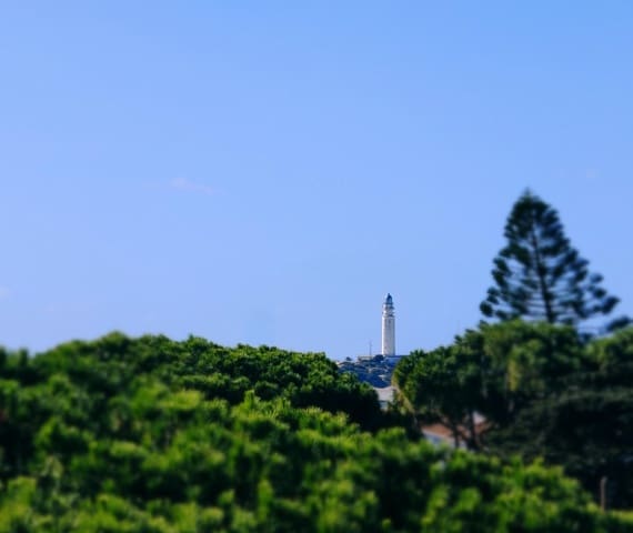 4 soveværelse Finca/Landehus til salg i Los Caños de Meca, Barbate - € 450.000 (Ref: 9446700)