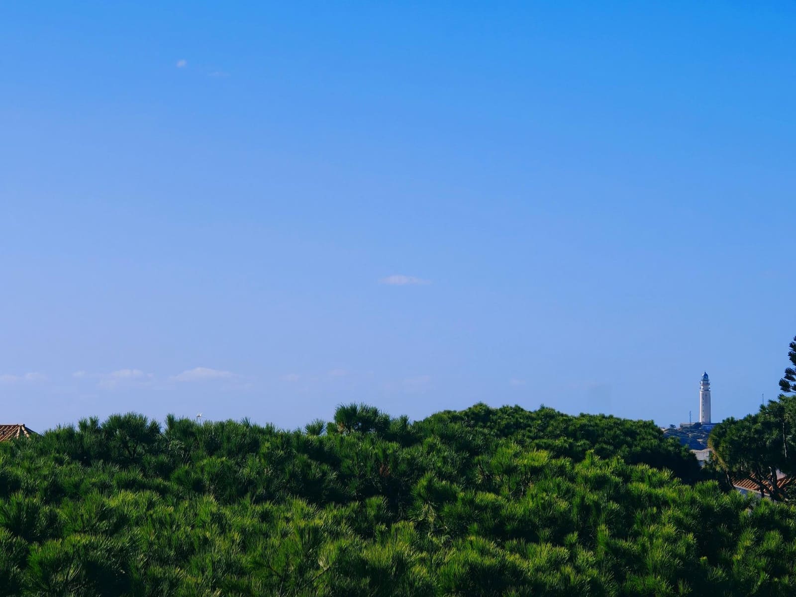 4 soverom Finca/Herregård til salgs i Los Canos de Meca - € 450 000 (Ref: 9446700)