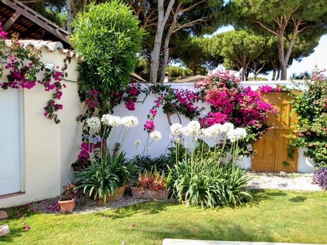 Chalet de 3 habitaciones en Chiclana de la Frontera en venta con piscina garaje - 350.000 € (Ref: 9616041)