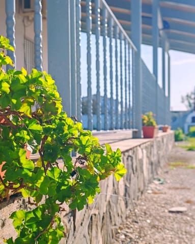 Chalet de 4 habitaciones en Chiclana de la Frontera en venta con piscina - 250.000 € (Ref: 9634490)