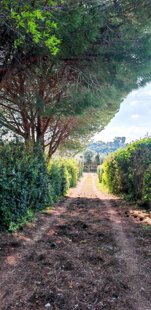 3 camera da letto Villa in vendita in Medina-Sidonia con piscina - 180.000 € (Rif: 9640386)