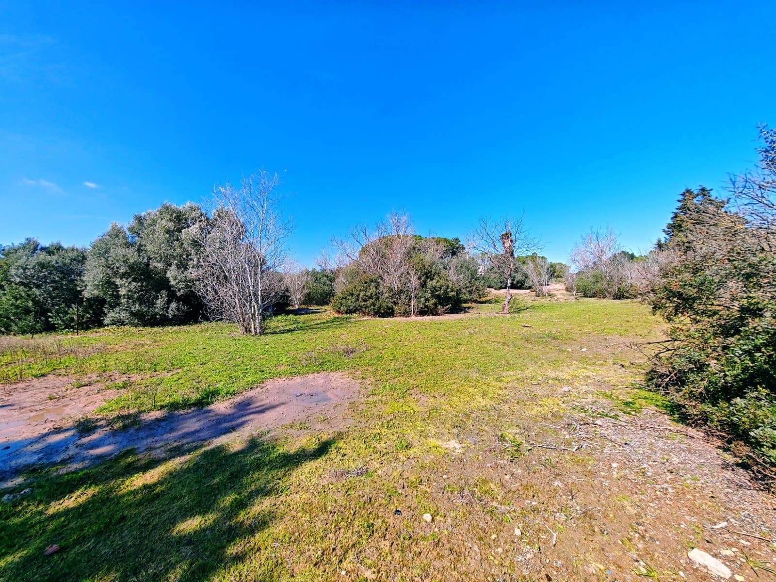 3 camera da letto Villa in vendita in Medina-Sidonia con piscina - 180.000 € (Rif: 9640386)