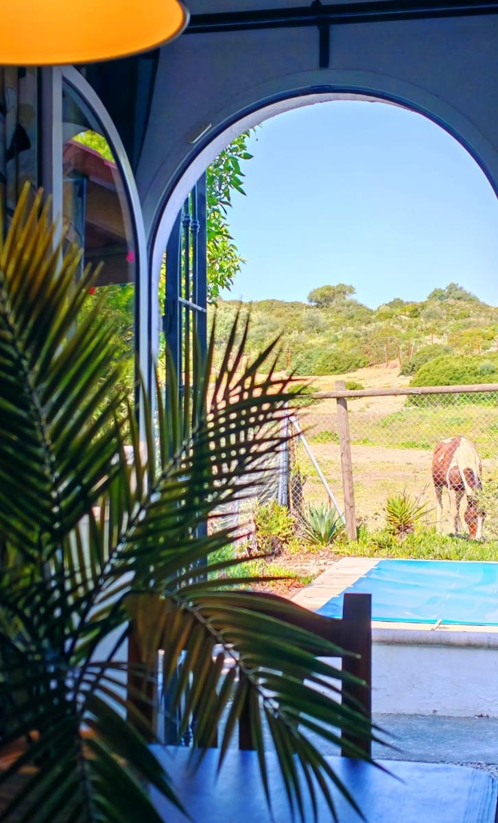 3 soveværelse Villa til salg i Medina-Sidonia med swimmingpool - € 129.950 (Ref: 9640386)