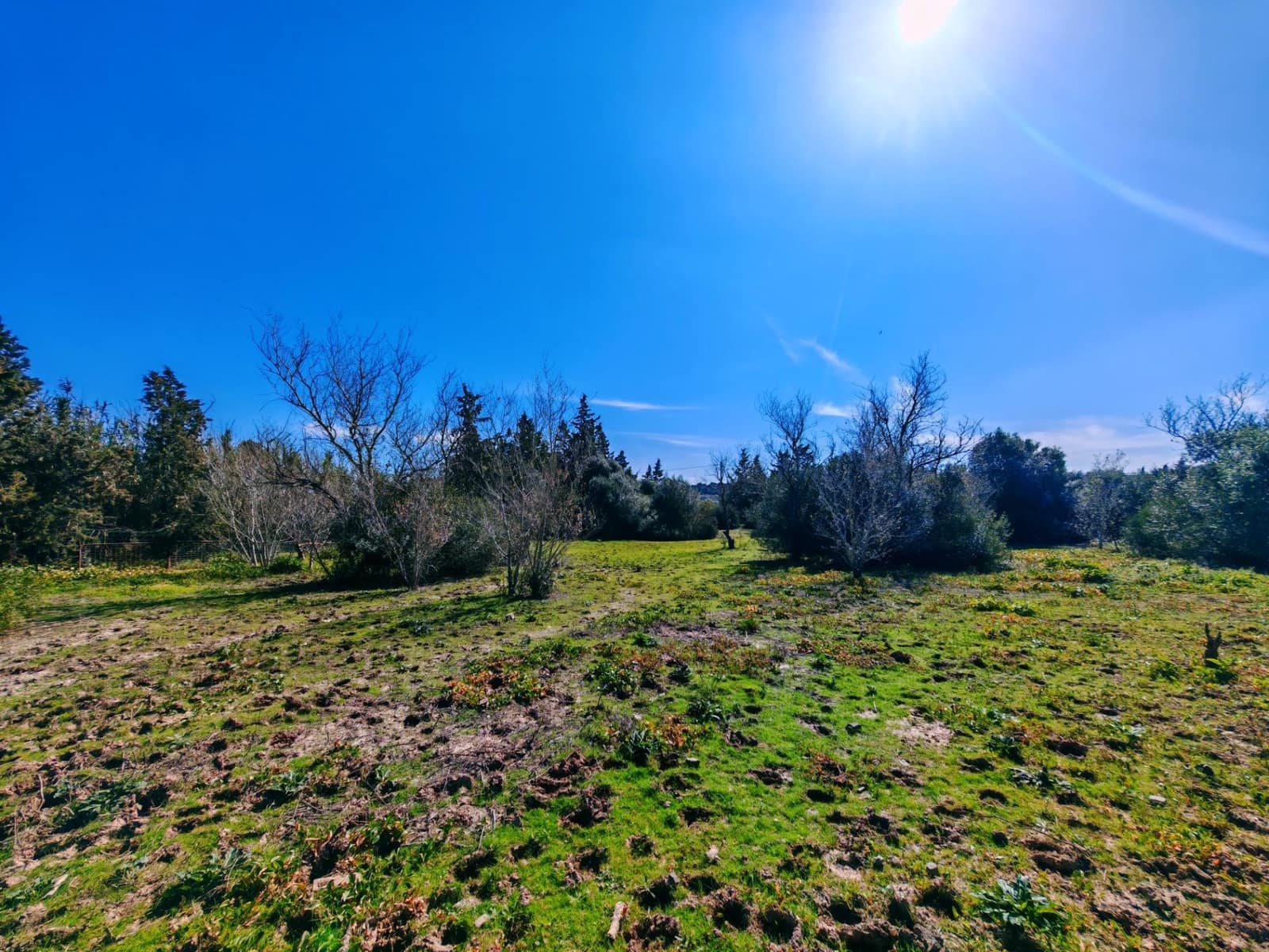 3 soveværelse Villa til salg i Medina-Sidonia med swimmingpool - € 129.950 (Ref: 9640386)