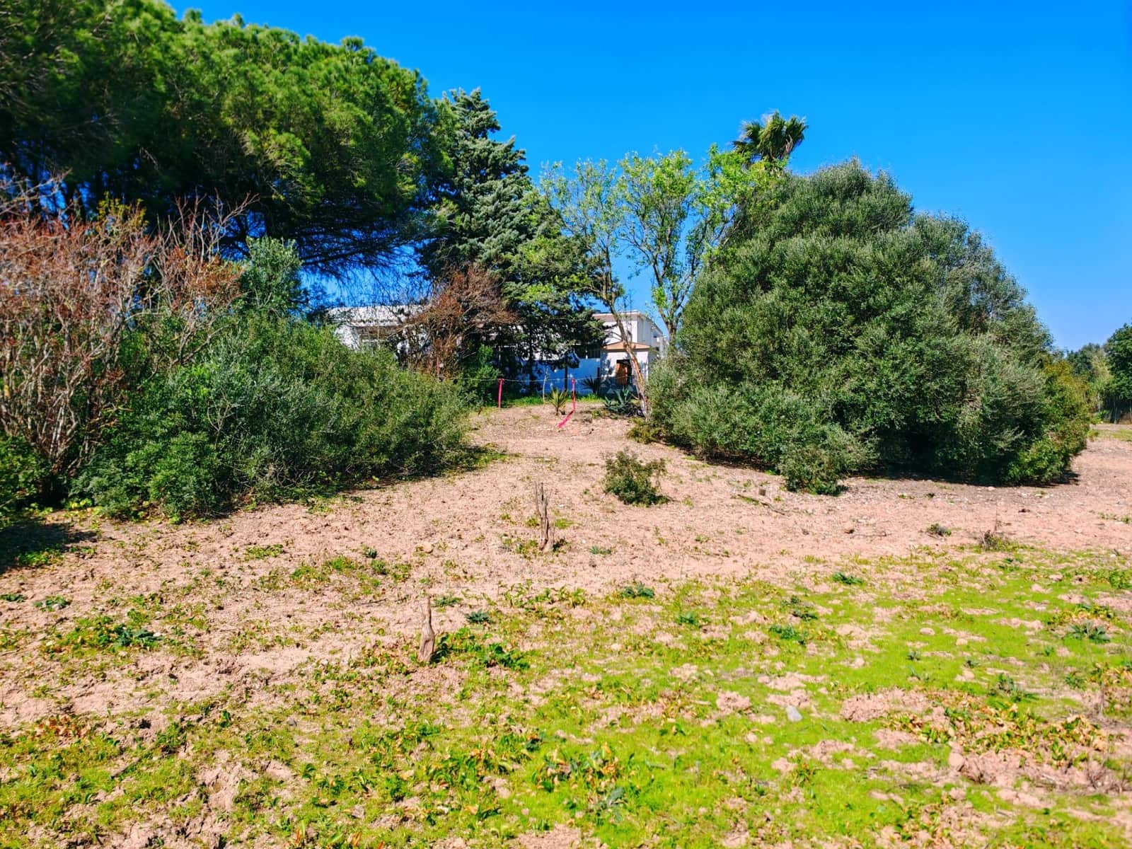 3 soveværelse Villa til salg i Medina-Sidonia med swimmingpool - € 129.950 (Ref: 9640386)