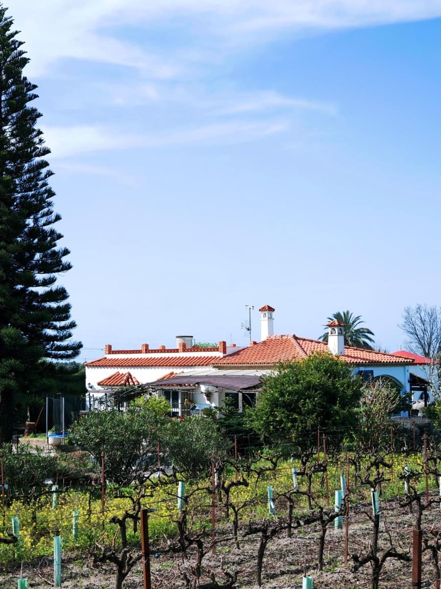 3 sypialnia Willa na sprzedaż w El Puerto de Santa Maria z basenem garażem - 437 000 € (Ref: 9656256)