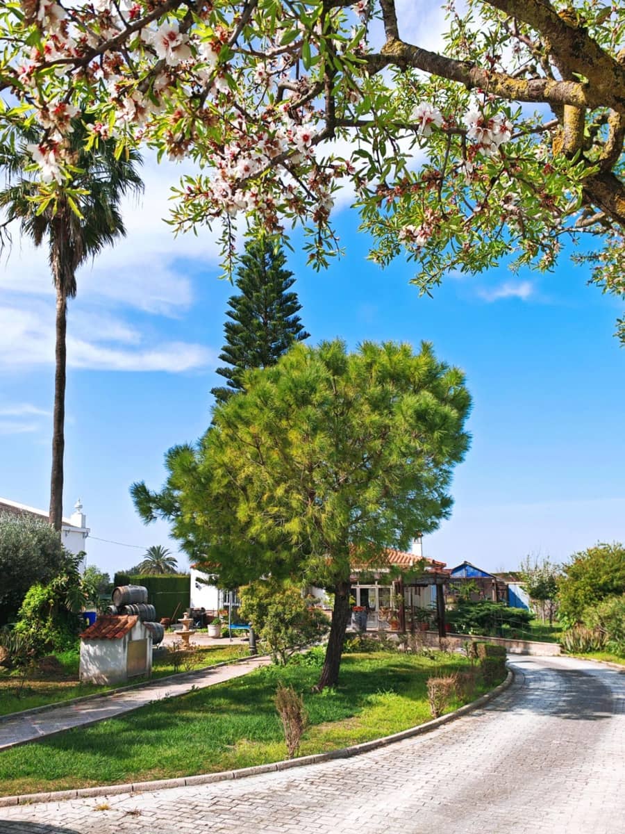 3 sypialnia Willa na sprzedaż w El Puerto de Santa Maria z basenem garażem - 437 000 € (Ref: 9656256)