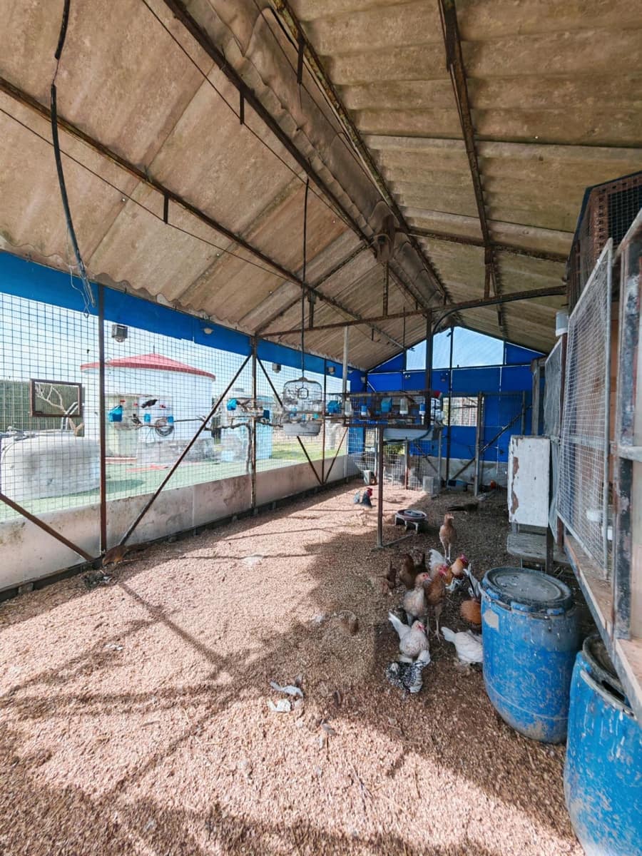 3 sypialnia Willa na sprzedaż w El Puerto de Santa Maria z basenem garażem - 437 000 € (Ref: 9656256)