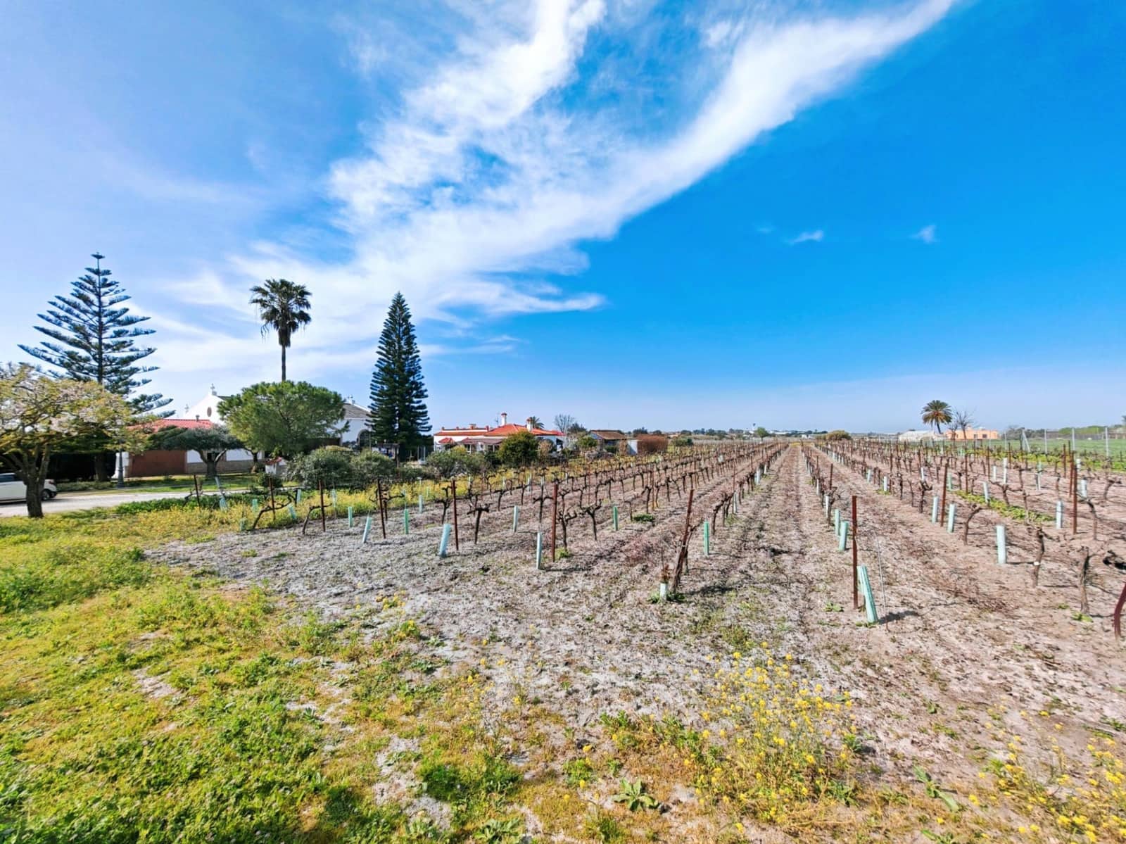 3 sypialnia Willa na sprzedaż w El Puerto de Santa Maria z basenem garażem - 437 000 € (Ref: 9656256)