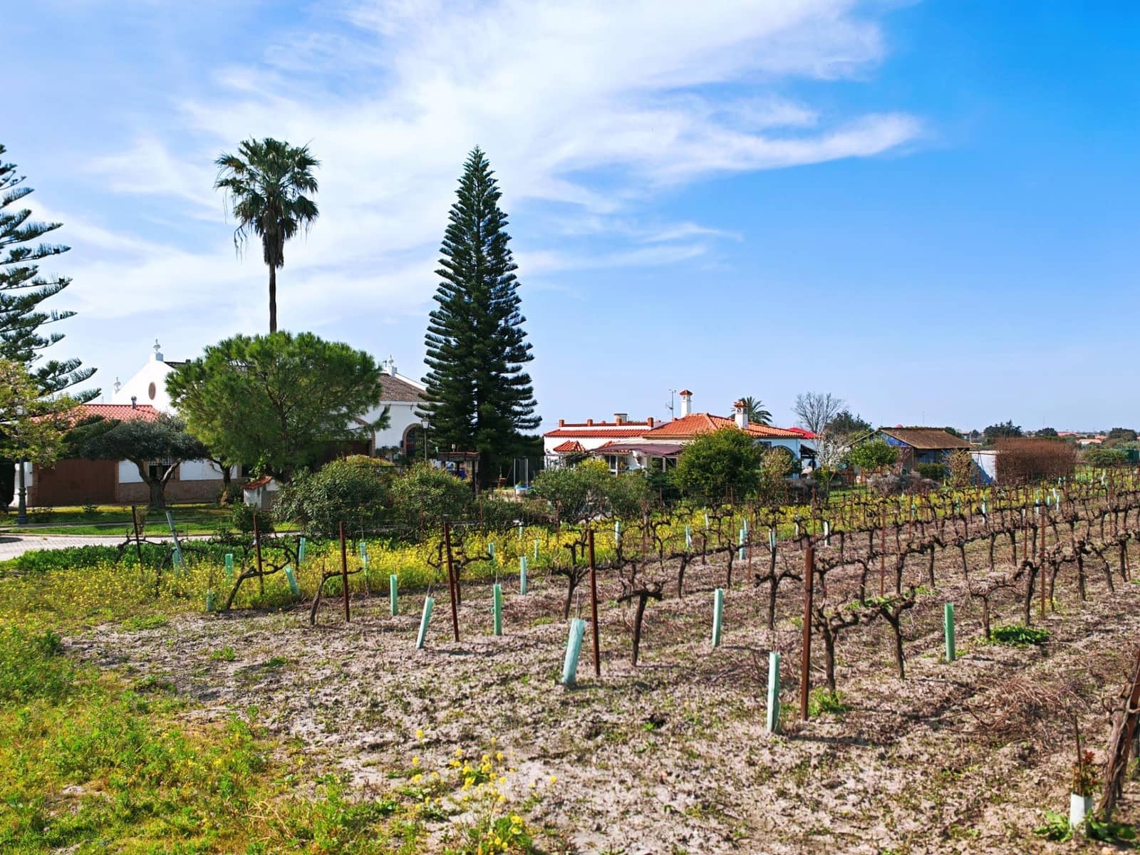 3 sypialnia Willa na sprzedaż w El Puerto de Santa Maria z basenem garażem - 437 000 € (Ref: 9656256)