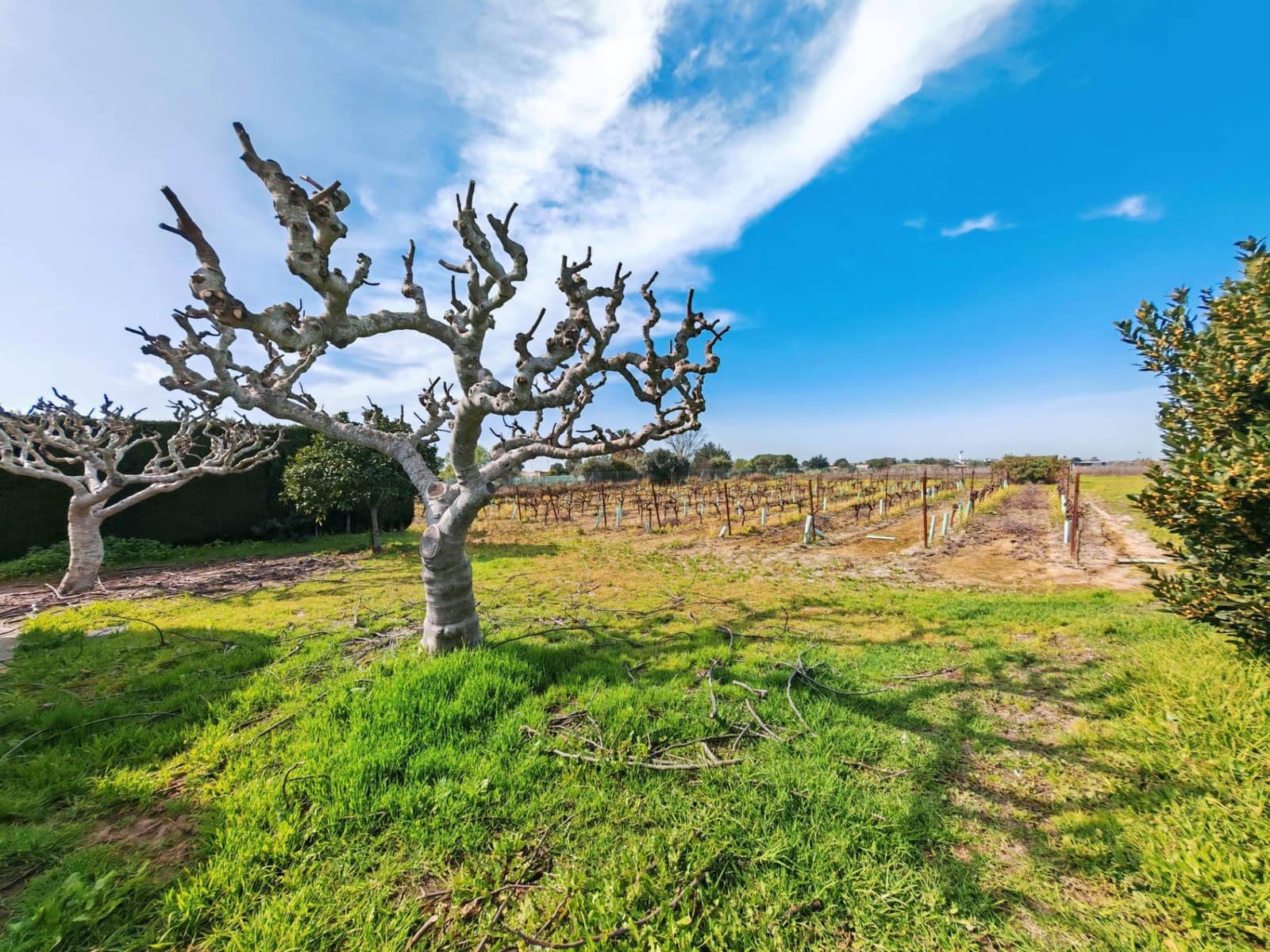 3 sypialnia Willa na sprzedaż w El Puerto de Santa Maria z basenem garażem - 437 000 € (Ref: 9656256)