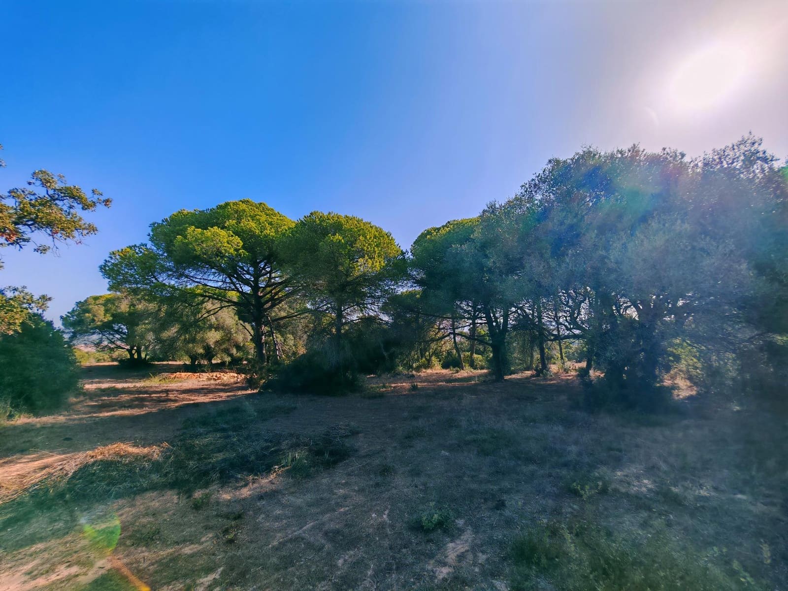 7 bedroom Villa for sale in Barbate with pool garage - € 565,000 (Ref: 9690947)