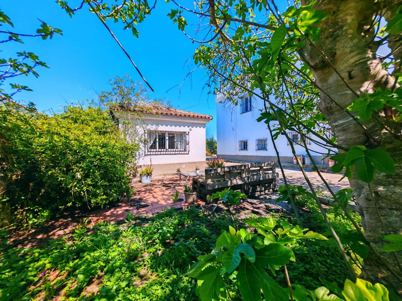 7 sypialnia Willa na sprzedaż w Chiclana de la Frontera z basenem garażem - 445 000 € (Ref: 9735703)