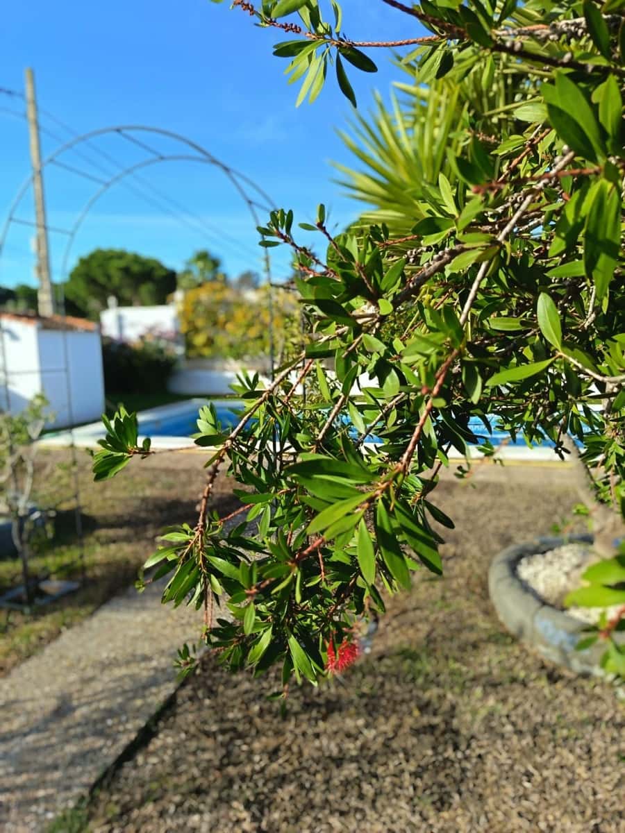 4 soveværelse Villa til salg i Chiclana de la Frontera med swimmingpool garage - € 295.000 (Ref: 9794828)