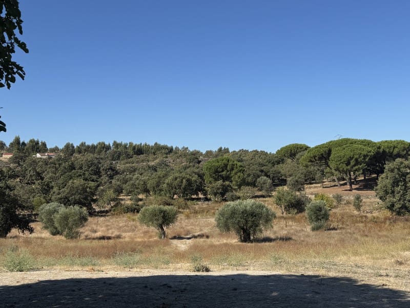2 bedroom Finca/Country House for rent in Valencia de Alcantara with garage - € 550 (Ref: 10115586)