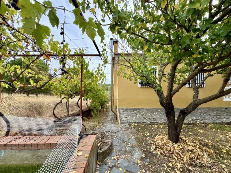 5 bedroom Villa for sale in Valencia de Alcantara - € 205,000 (Ref: 10124267)