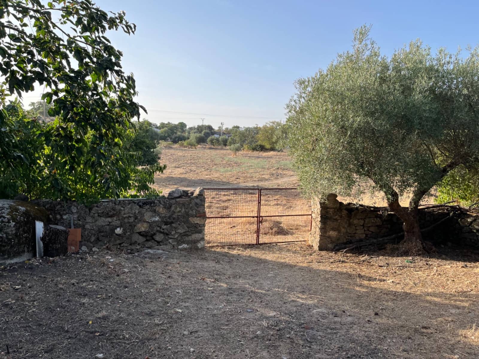 Terreno para Construção para venda em Valencia de Alcantara - 160 000 € (Ref: 8544819)