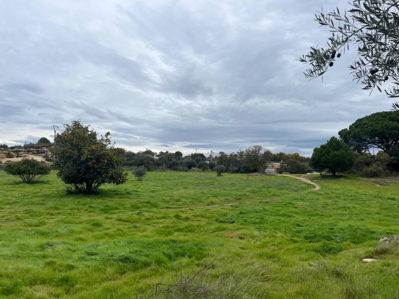 Terreno para Construção para venda em Valencia de Alcantara - 160 000 € (Ref: 8544819)