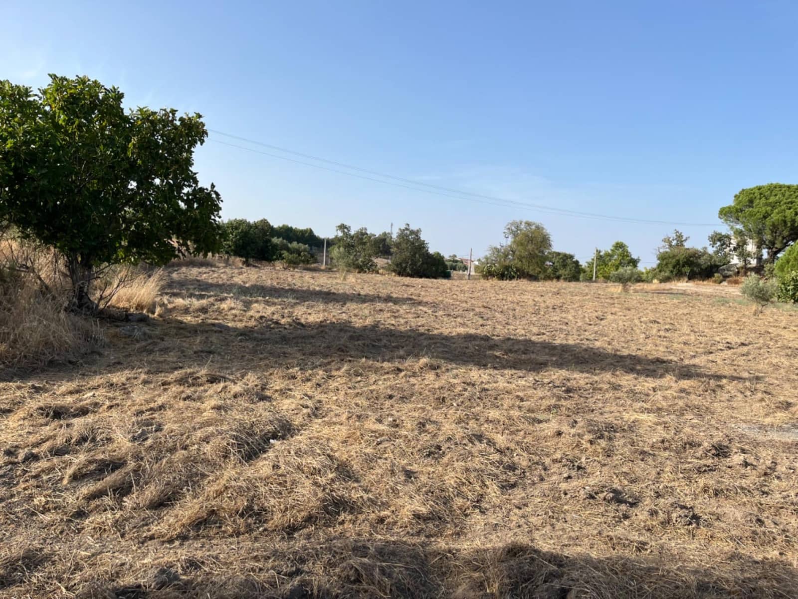 Terreno para Construção para venda em Valencia de Alcantara - 160 000 € (Ref: 8544819)