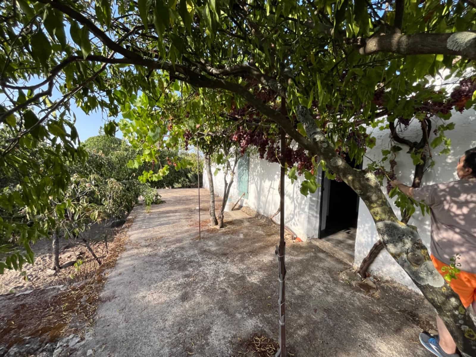 Terreno para Construção para venda em Valencia de Alcantara - 160 000 € (Ref: 8544819)