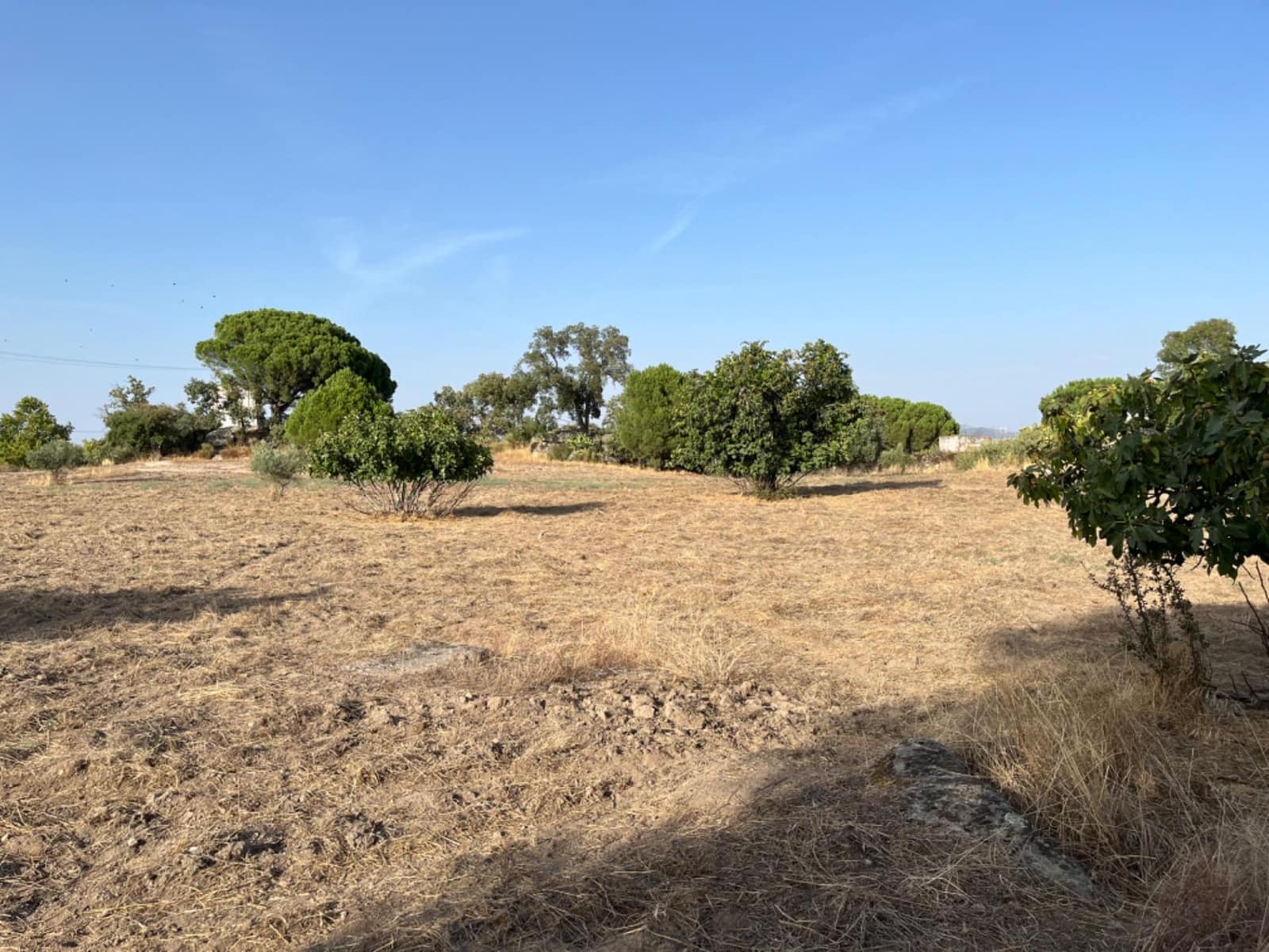 Terreno para Construção para venda em Valencia de Alcantara - 160 000 € (Ref: 8544819)