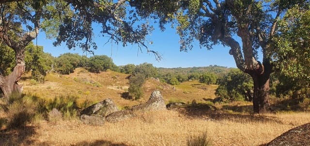 Rakentamaton maa myytävänä paikassa San Vicente de Alcántara - 56 000 € (Ref: 8786431)