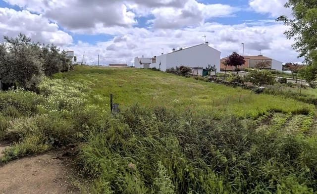 Tontti myytävänä paikassa Olivenza - 50 000 € (Ref: 8900419)