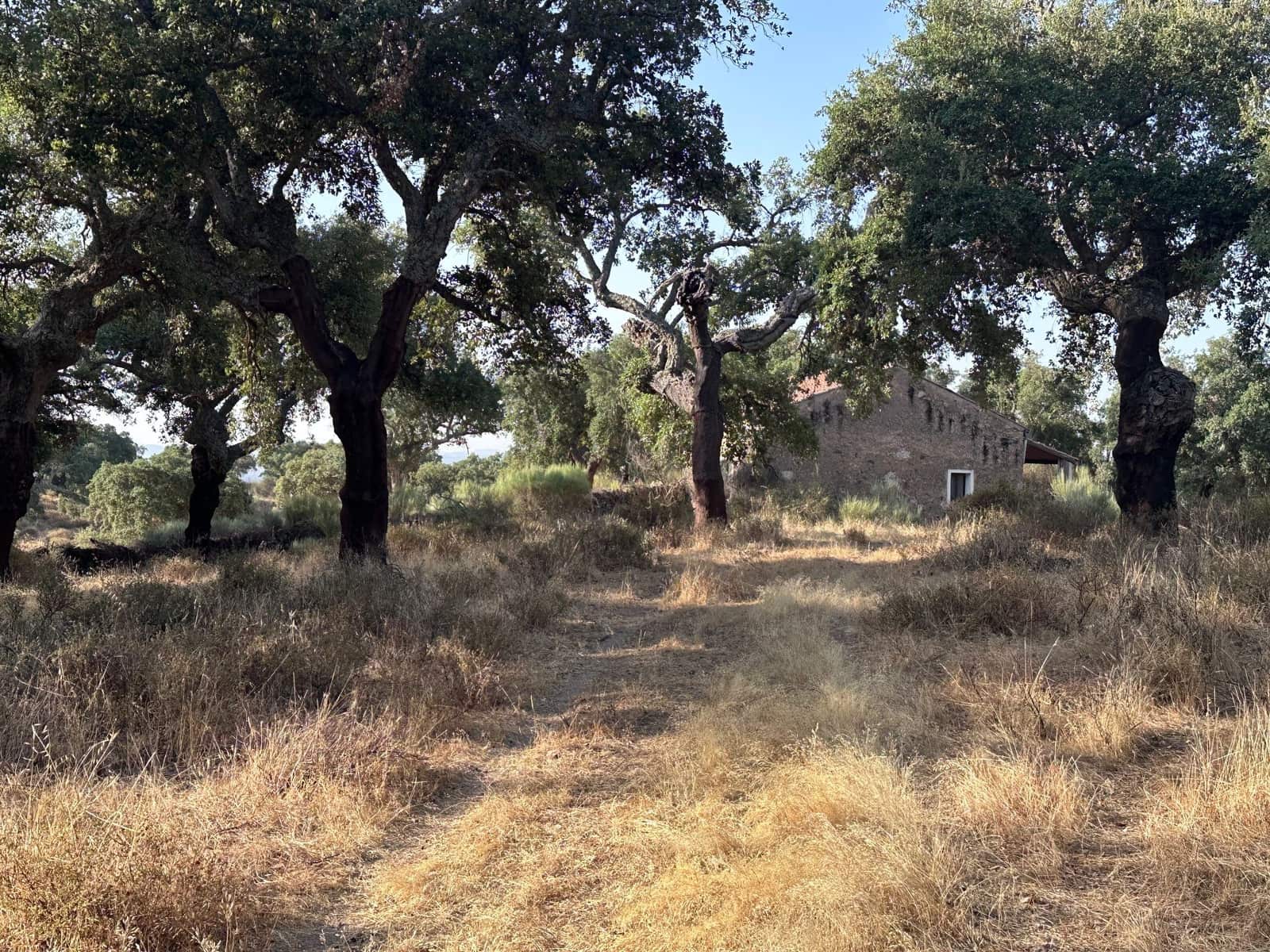 Finca/Country House for sale in San Vicente de Alcantara - € 69,000 (Ref: 9201891)