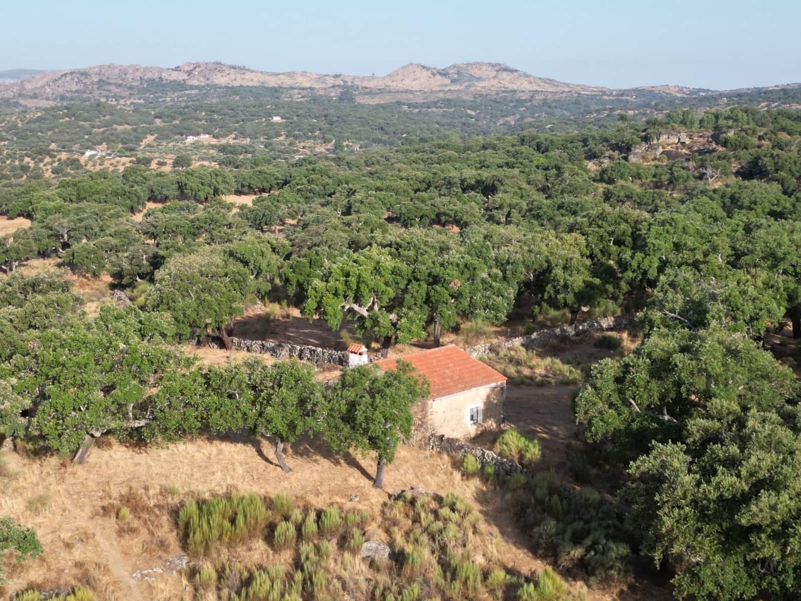 Finca/Country House for sale in San Vicente de Alcantara - € 69,000 (Ref: 9201891)