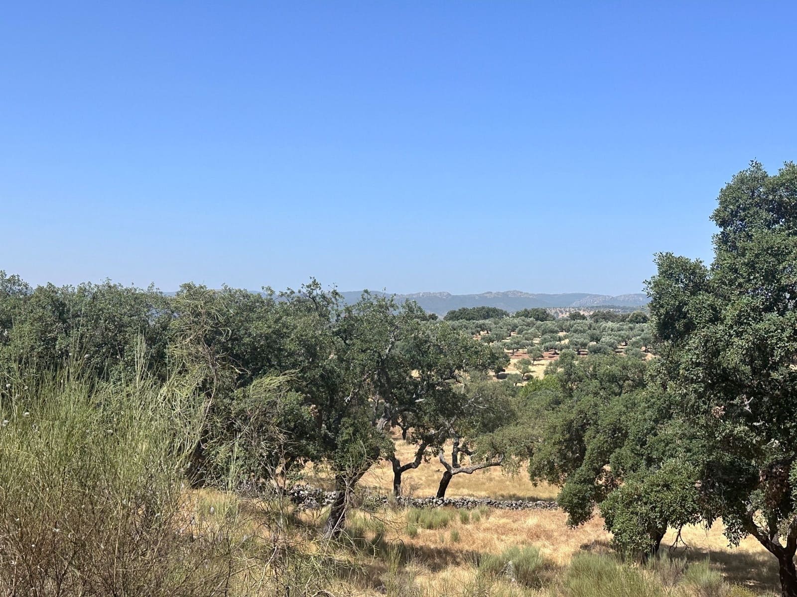 Finca/Country House for sale in San Vicente de Alcantara - € 69,000 (Ref: 9201891)