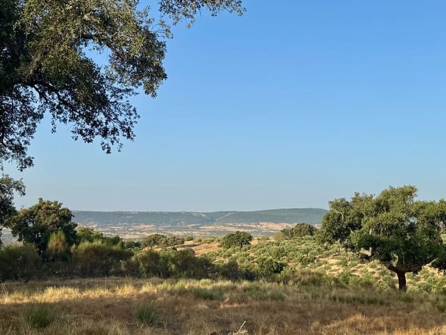 Finca/Country House for sale in San Vicente de Alcántara - € 69,000 (Ref: 9201891)