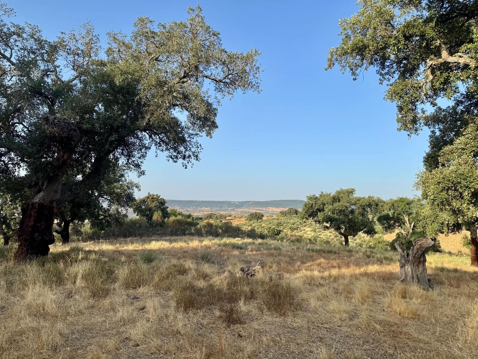 Finca/Country House for sale in San Vicente de Alcantara - € 69,000 (Ref: 9201891)