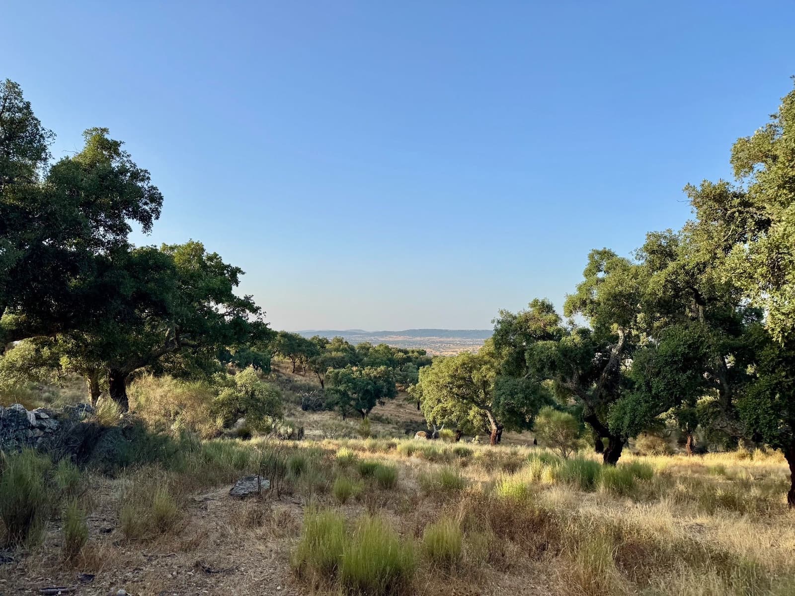 Finca/Country House for sale in San Vicente de Alcantara - € 69,000 (Ref: 9201891)