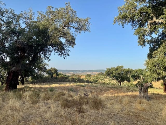 Finca/Country House for sale in San Vicente de Alcántara - € 69,000 (Ref: 9201891)